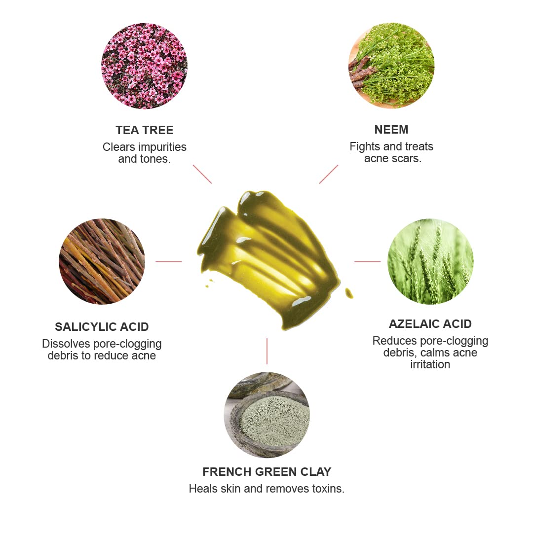 100% PURE Tea Tree Deep Detox Face Mask & Deep Pore Cleanse Natural Skin Care Unclog & Detoxify Acne Blemish Treatment For Oily Skin - Vegan - 1.7oz - Image 3